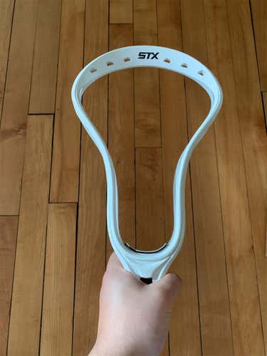 Stx Stallion Hs