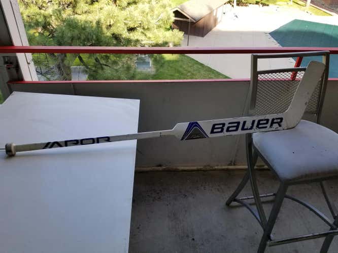 Bauer Vapor 1X Goalie Stick Regular Senior