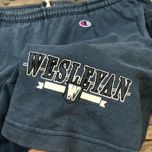 VTG Wesleyan University Champion Shorts 1990s NESCAC College Men's Large