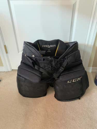 CCM Premier Pro