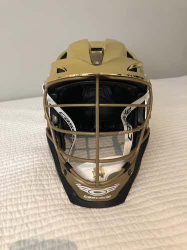 Notre Dame 2019 Brand New Cascade S Helmet Adult