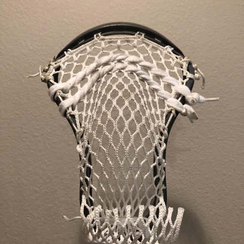 STX Stallion For Sale