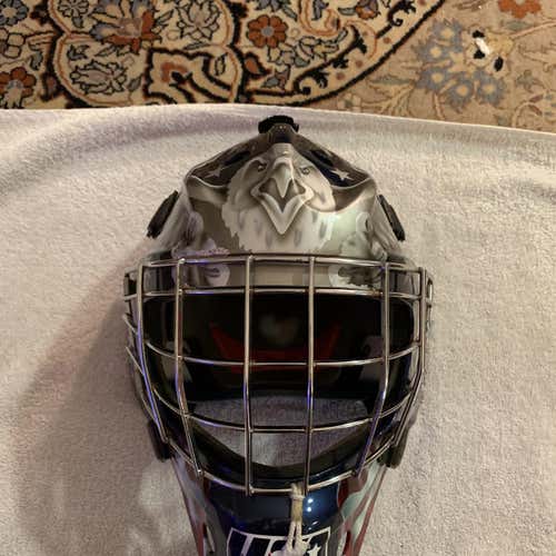 Itech USA Painted Helmet