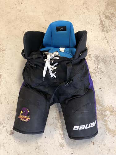 Bauer Nexus Large Youngstown Phantoms Pants