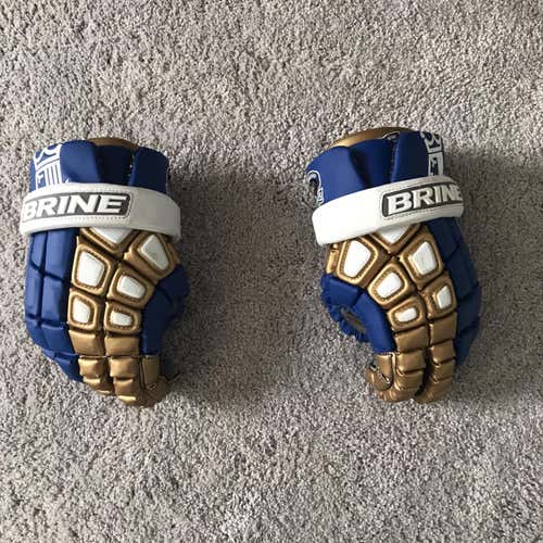 Charlotte Hounds Gloves