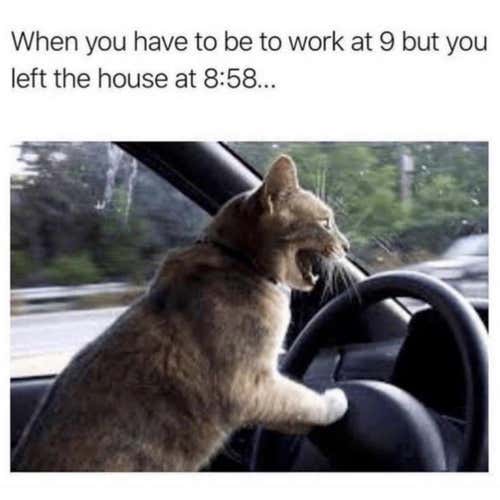 Trade For Warrior Evo 5