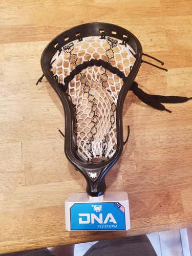 New East Coast Dyes DNA Head