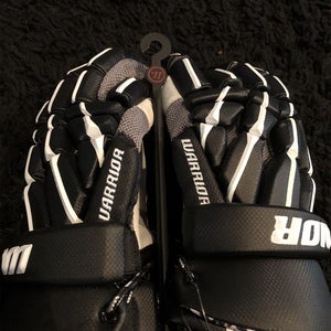 Warrior Regulator 2