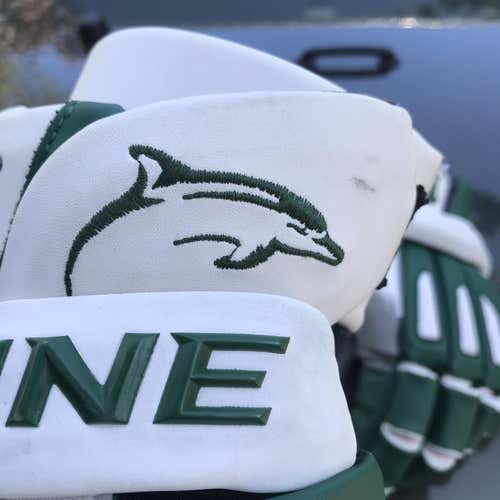 Lemoyne Dolphin Goalie Gloves