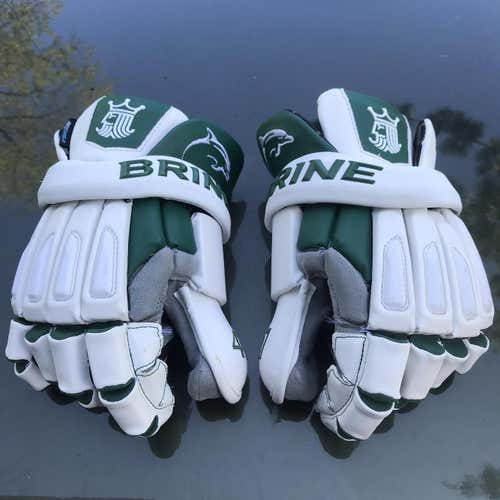 Lemoyne Dolphin Goalie Gloves