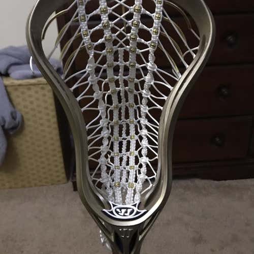 Golden Boy Evo 4X