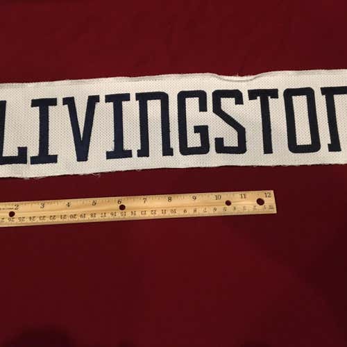 James LIVINGSTON Springfield Falcons AHL Hockey Jersey Nameplate Tag - Blue Jackets