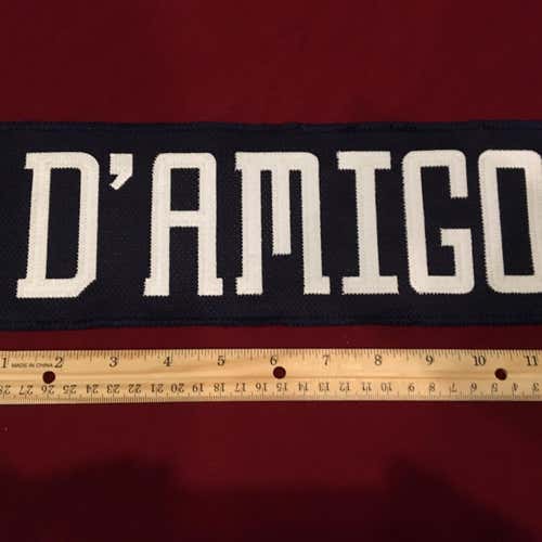 Jerry D’AMIGO Springfield Falcons AHL Hockey Jersey Nameplate Tag - Blue Jackets