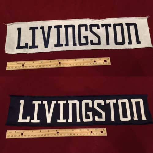 LIVINGSTON Springfield Falcons AHL Hockey Jersey Nameplate Tag Lot of 2 - Columbus Blue Jackets