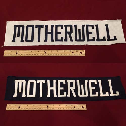 MOTHERWELL Springfield Falcons AHL Hockey Jersey Nameplate Tag Lot of 2 - Columbus Blue Jackets