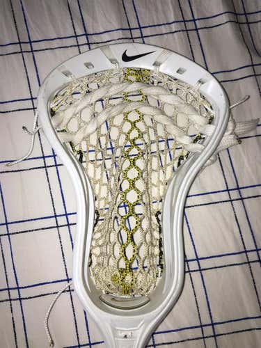 Lakota With Throne Mesh