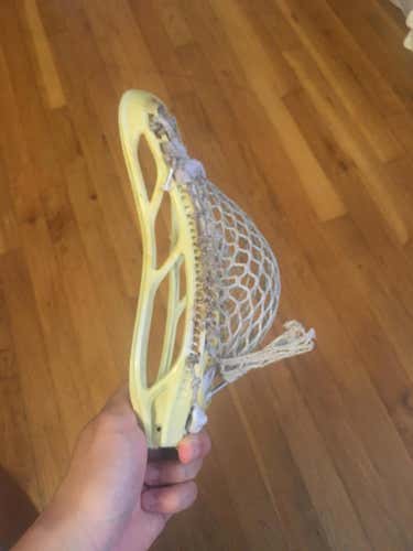 StringKing Mark 2F Head! READ DESCRIPTION