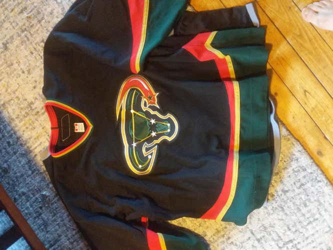 Dallas Stars third Jersey