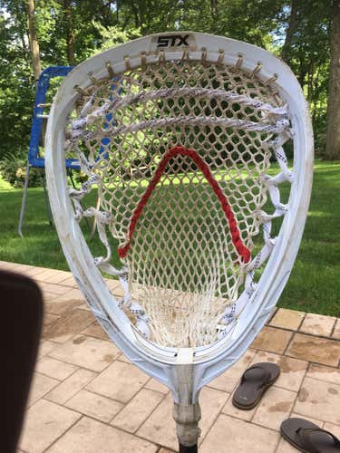 STX Head