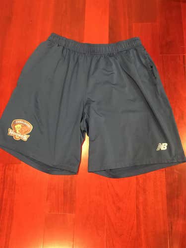 New Balance Blue Charlotte Hounds Practice Shorts XL