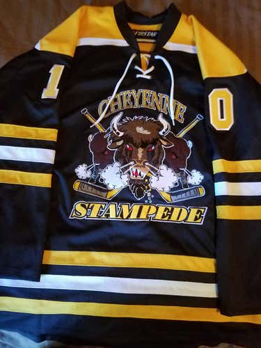 Minor League - "Official" Authentic Stampede Jersey #10 LARGE