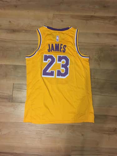 Lebron James Los Angeles Lakers Jersey Large
