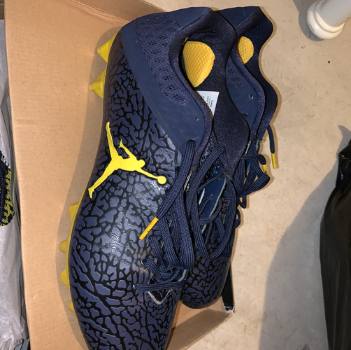 11.5 Jordan Custom Michigan Cleats