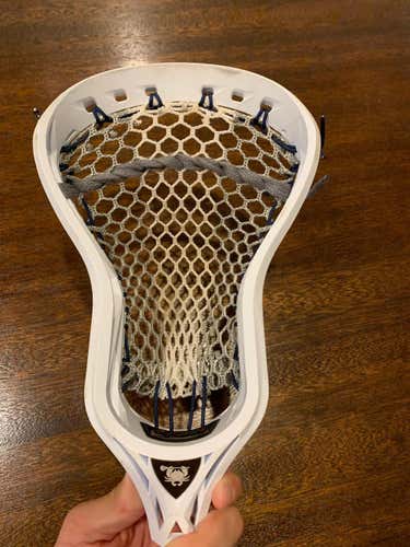 East Coast Dyes Rebel D Head