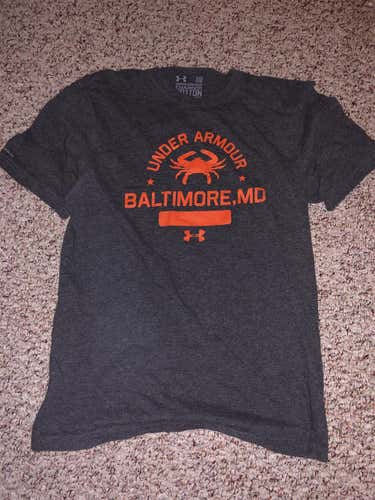 Gray Baltimore Under Armour Shirt