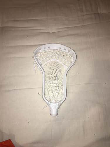 New Epoch The Hawk Prequel Head
