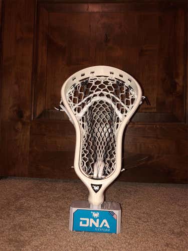 New ECD DNA Head (No Trades)