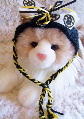 Bruins Handmade Cat Hat