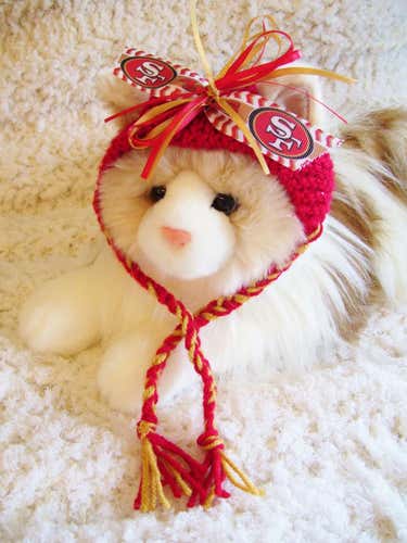 49ers Handmade Cat Hat