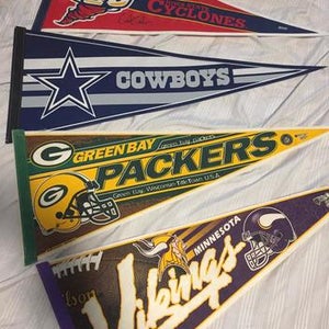 Wincraft Sports Pennants