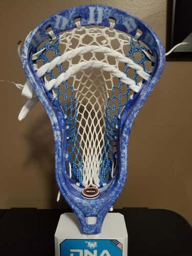 New STX Stallion Head (Duke Themed Dye)