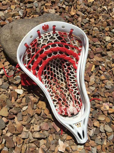 Poland National Team - Warrior Regulator X Head