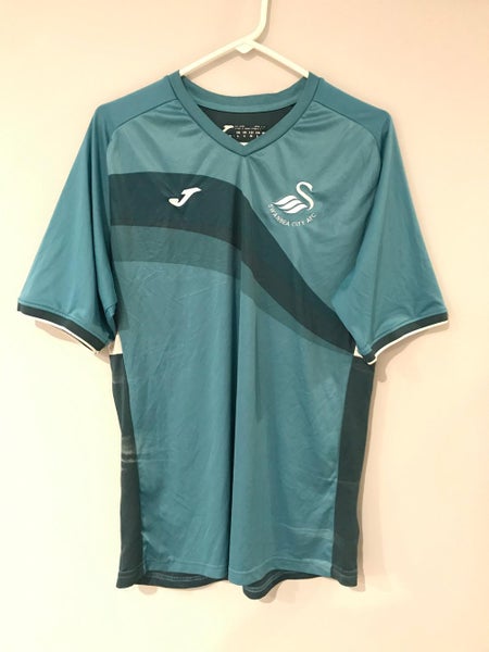 Swansea City AFC Blue Jersey Large Bin3