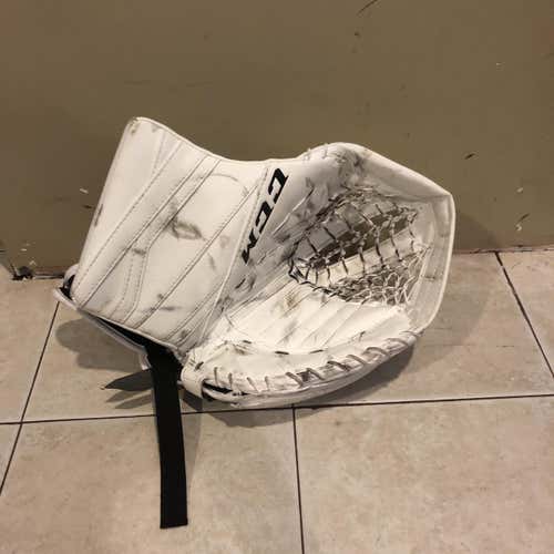 CCM E3.9
