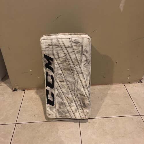 CCM E3.9