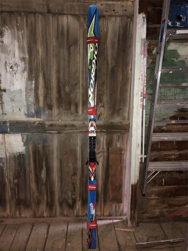 Doberman WC SG Skis 2014