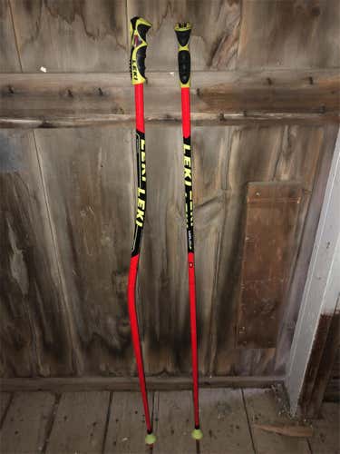 World Cup - GS Ski Poles
