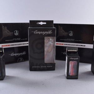 Campagnolo H11 Ergopower Hydraulic Lever & Disc Brake Caliper Set + Bleed Kit