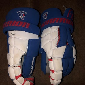 Team Issued France Goalie Gloves