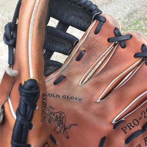 Heart of the Hide Baseball Glove