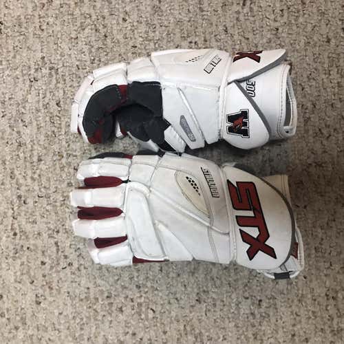 Wesleyan Stallion 500 Gloves