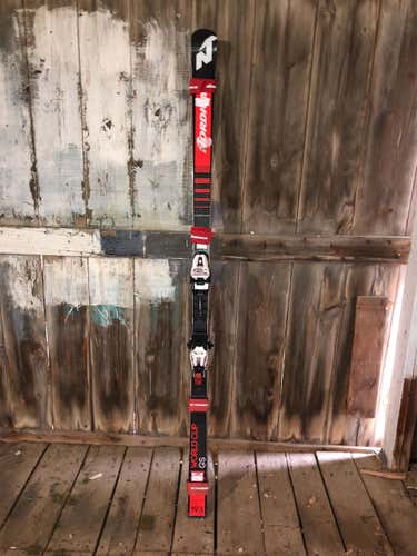 2018 Dobermann GS WC Skis