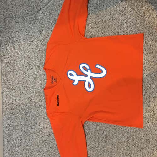 AAA Little Caesars Jersey