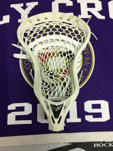 Warrior Evo 5 Head