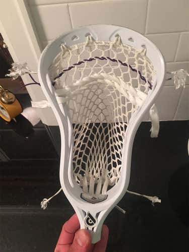 Powell Pioneer D Head