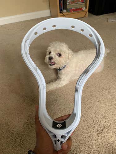 Brand New StringKing Mark 2V Head